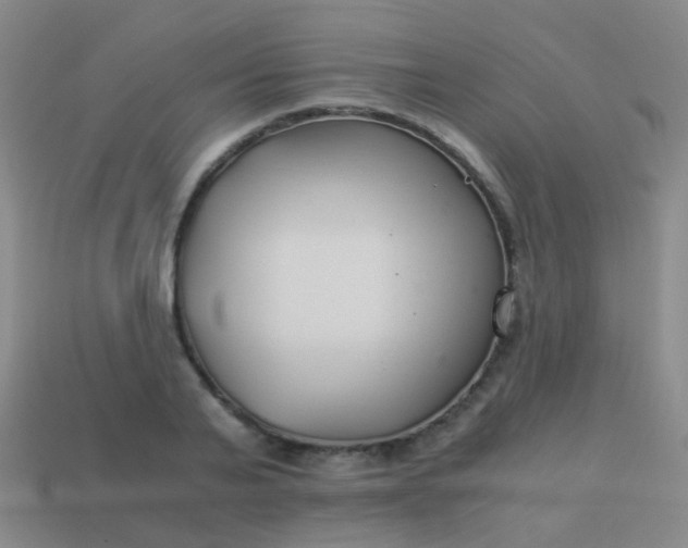 X0000114010791200910161732