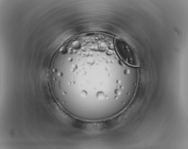 X0000114010793200910161732