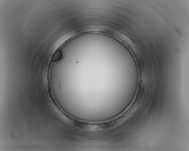 X0000114010794200910161732