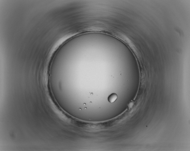 X0000114010795200910161732