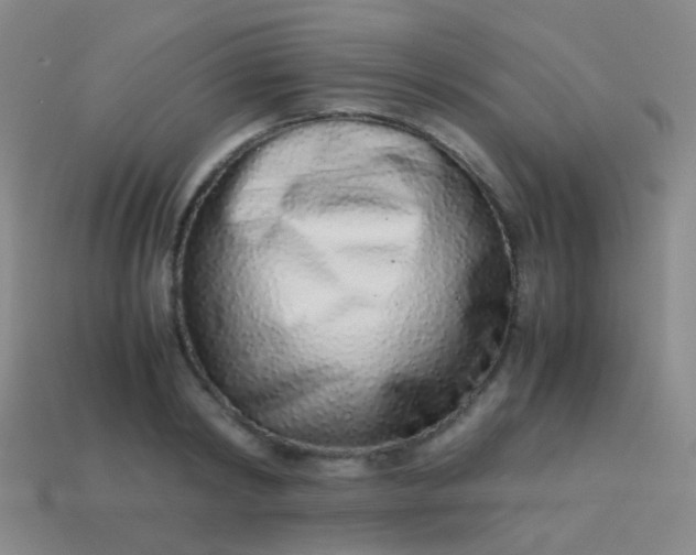 X0000114010798200910161732