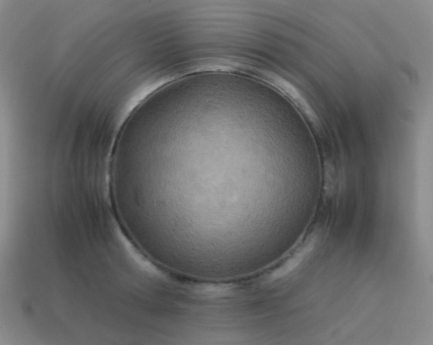 X0000114010802200910161732