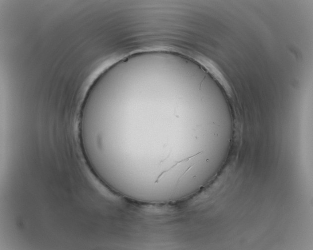 X0000114010805200910161732