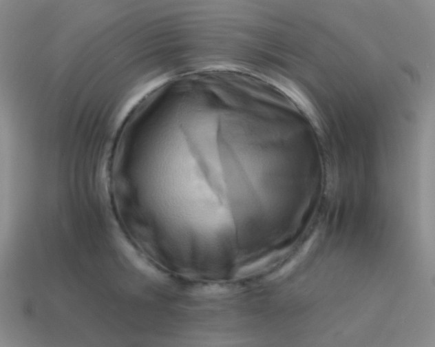 X0000114010806200910161732