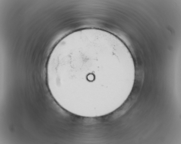 X0000114010807200910161732