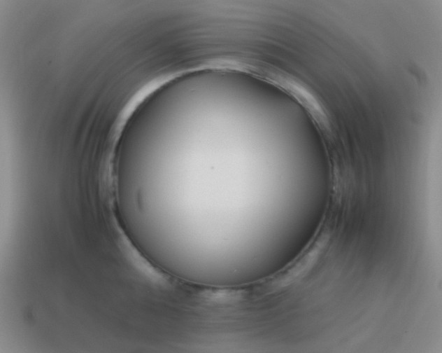 X0000114010808200910161732