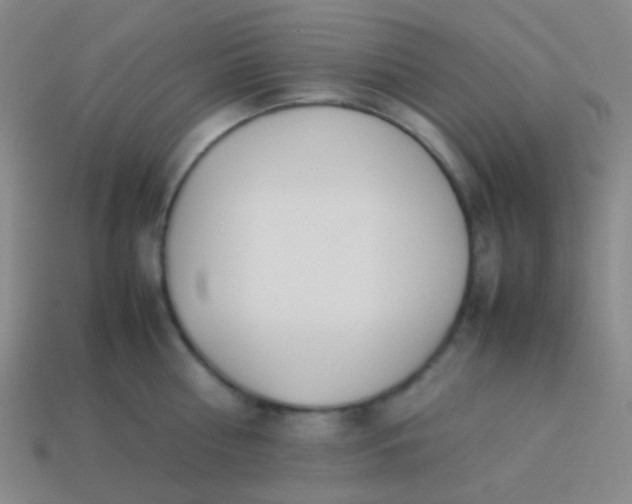 X0000114010810200910161732