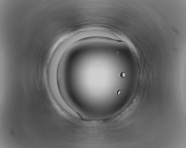 X0000114010813200910161731