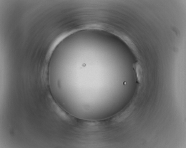 X0000114010816200910161731