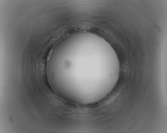 X0000114010818200910161731