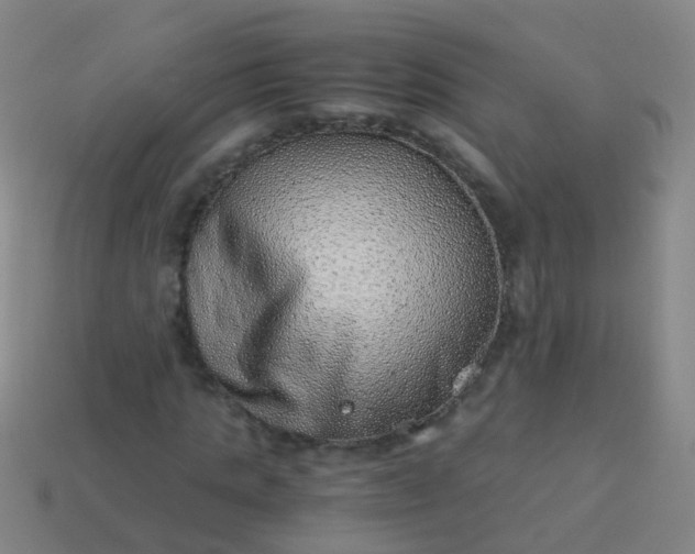 X0000114010821200910161731