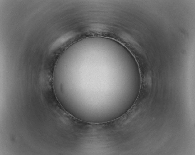 X0000114010822200910161731