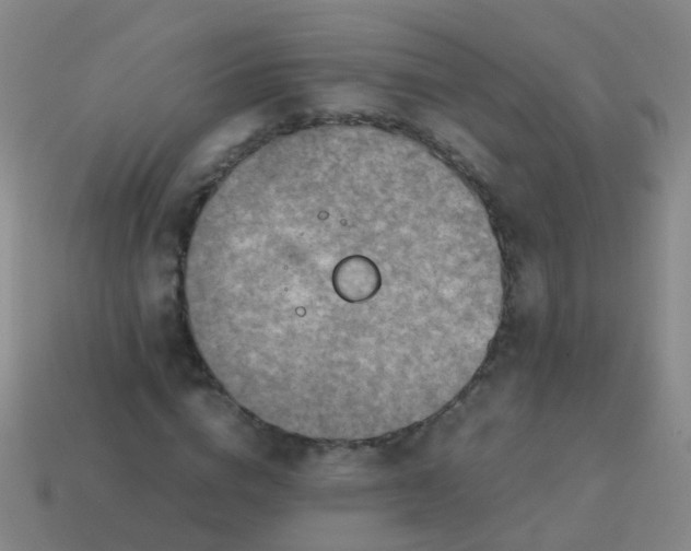 X0000114010824200910161731