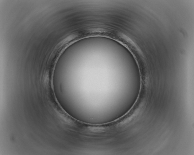 X0000114010825200910161731