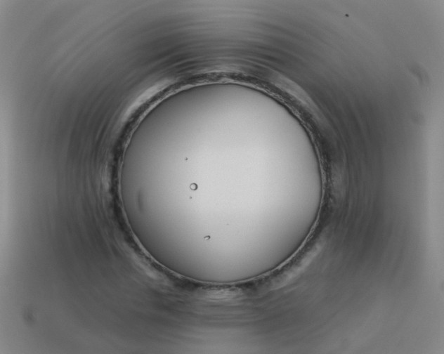 X0000114010826200910161731