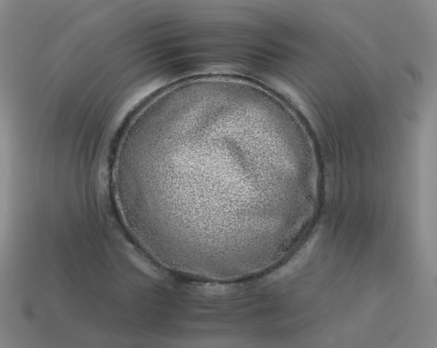 X0000114010827200910161731