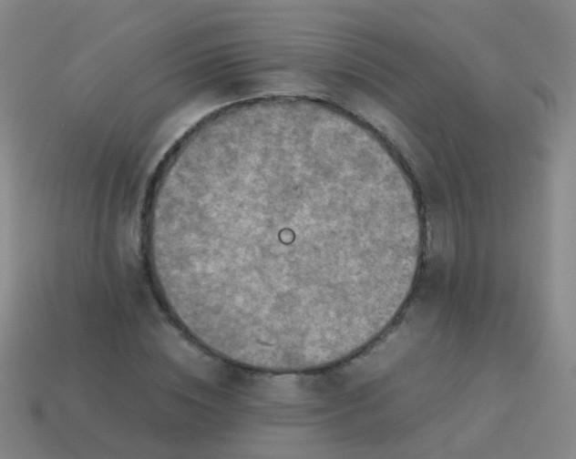 X0000114010828200910161731