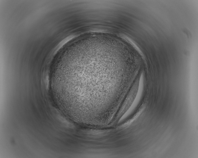 X0000114010829200910161731