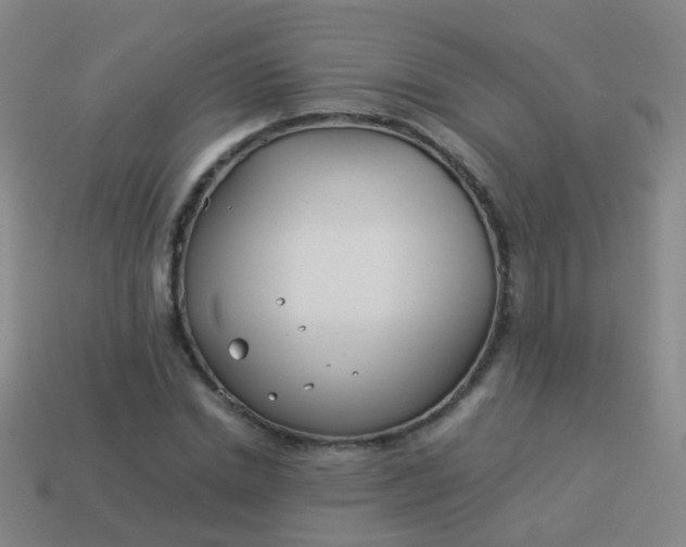 X0000114010830200910161731