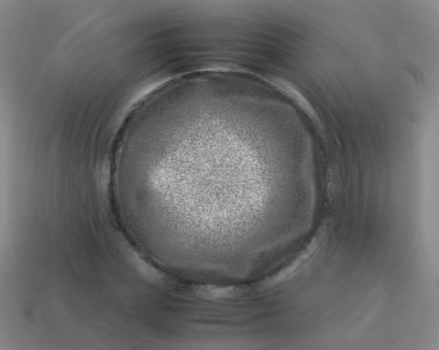 X0000114010831200910161731