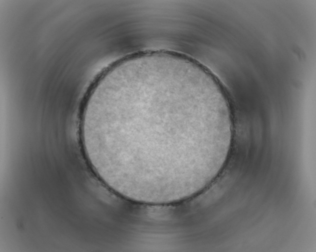 X0000114010832200910161731