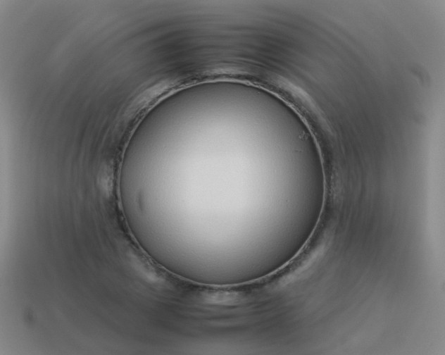 X0000114010833200910161731