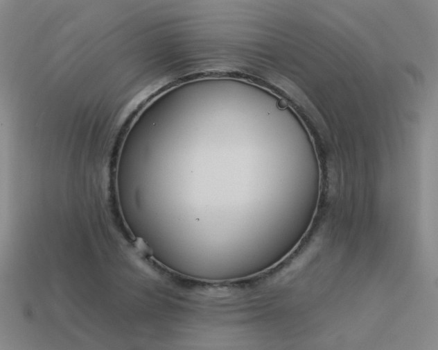 X0000114010834200910161731