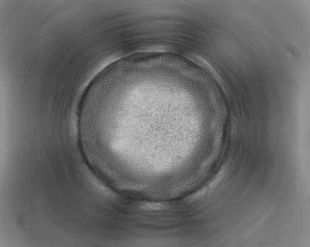 X0000114010835200910161731