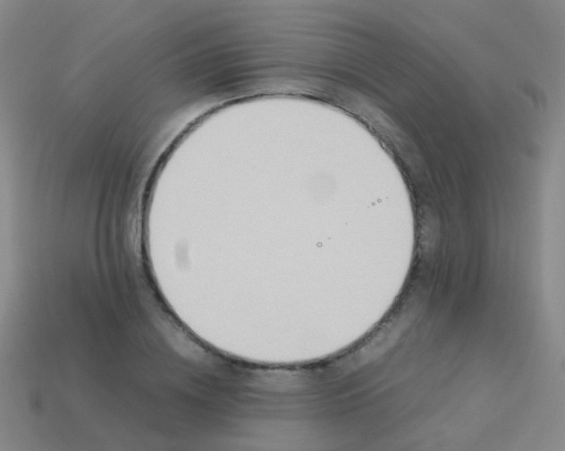 X0000114010836200910161731