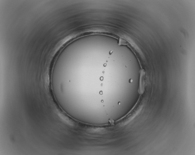 X0000114010837200910161731