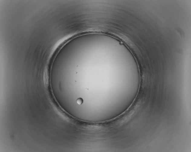 X0000114010838200910161731