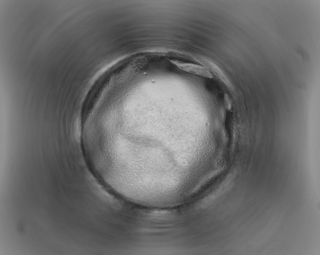 X0000114010839200910161731