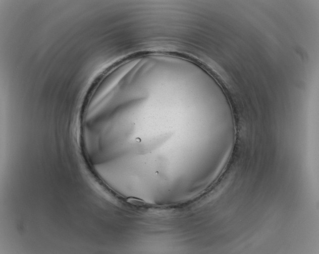 X0000114010840200910161731