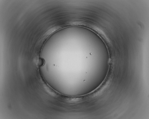 X0000114010841200910161731