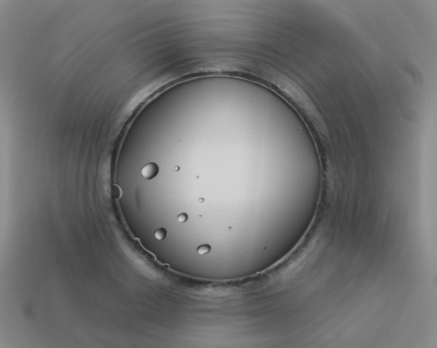 X0000114010842200910161731