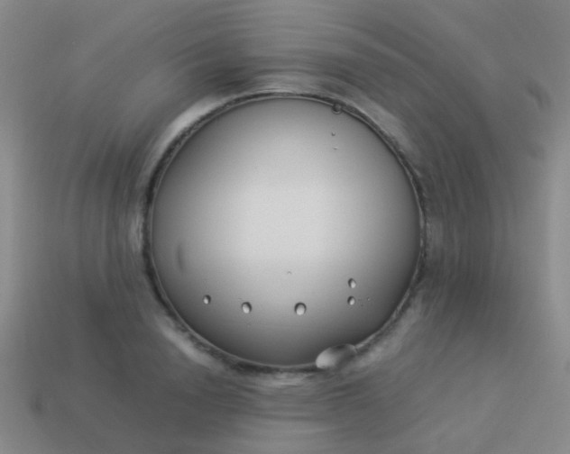 X0000114010846200910161731