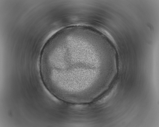 X0000114010847200910161731