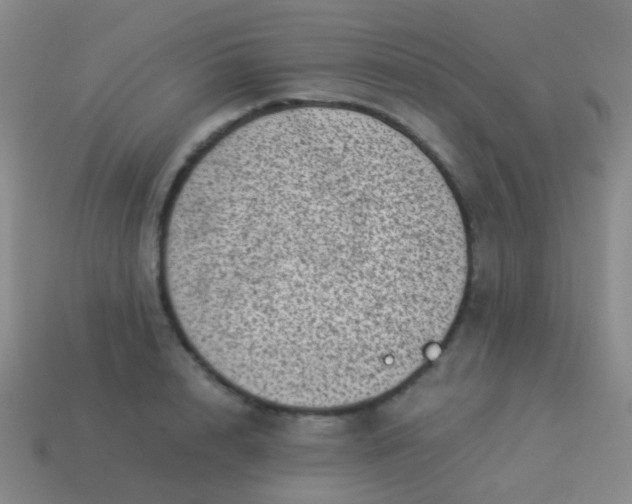 X0000114010848200910161731