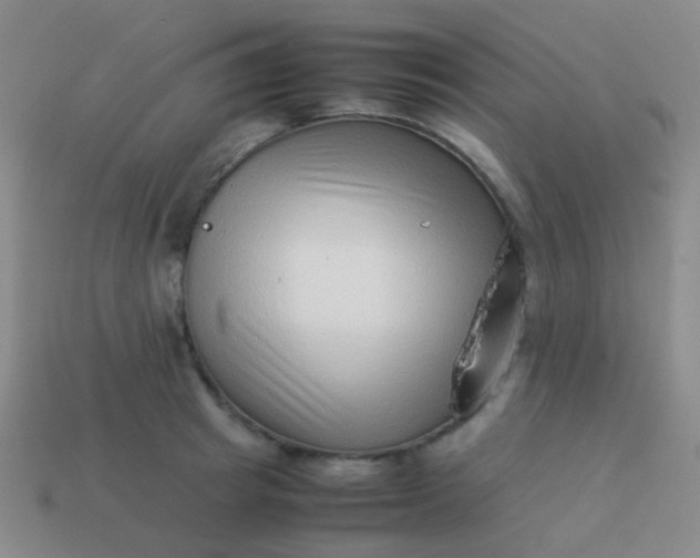 X0000114010849200910161731