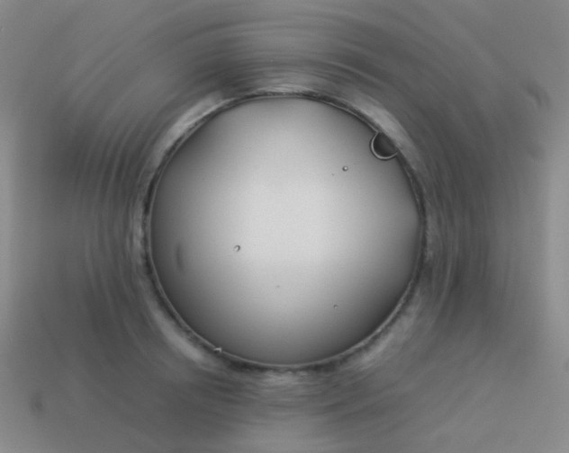 X0000114010850200910161731