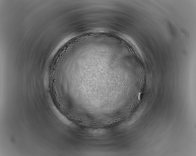 X0000114010851200910161731