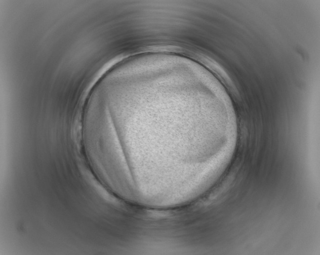 X0000114010852200910161731