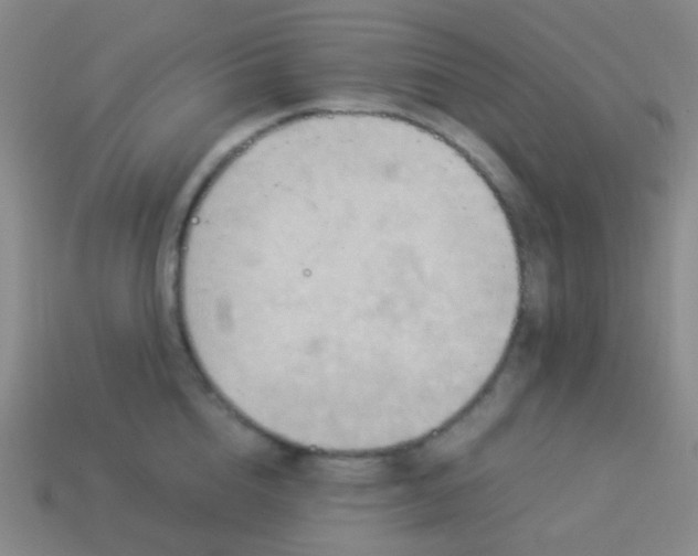 X0000114010856200910161731