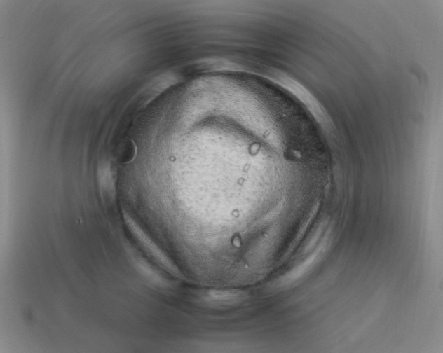 X0000114010857200910161731