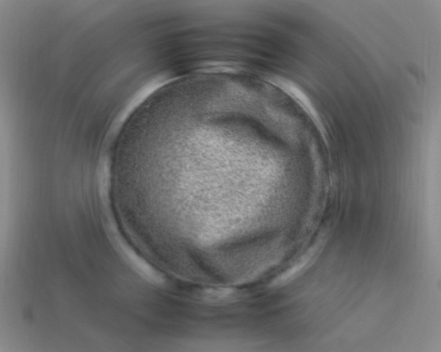 X0000114010859200910161731