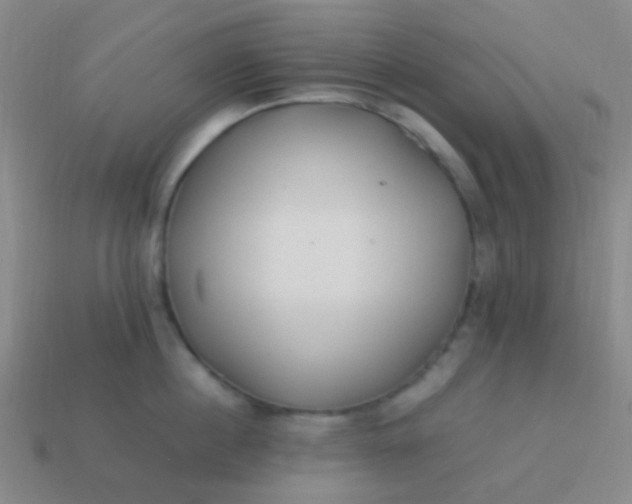 X0000114010860200910161731