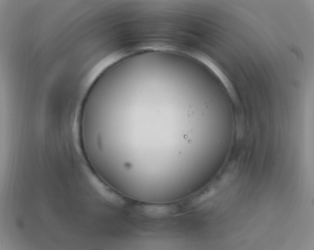 X0000114010861200910161731