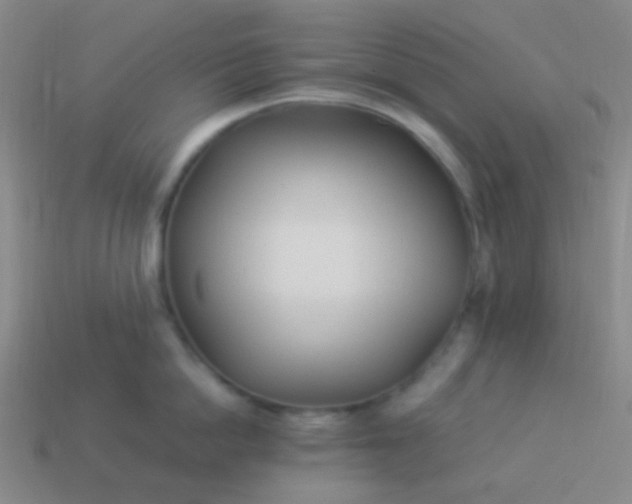 X0000114010862200910161731