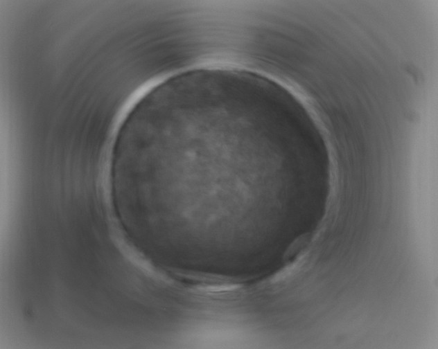 X0000114010864200910161731