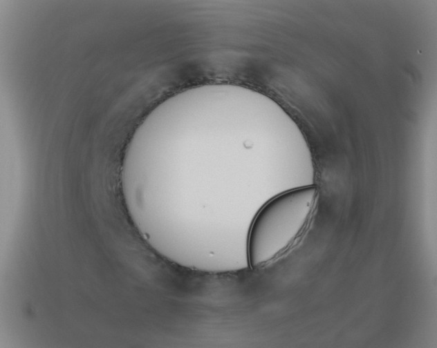 X0000114010865200910161730